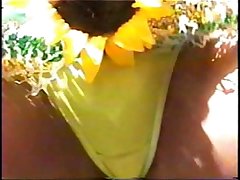Miami Vice Carnival 2006 V